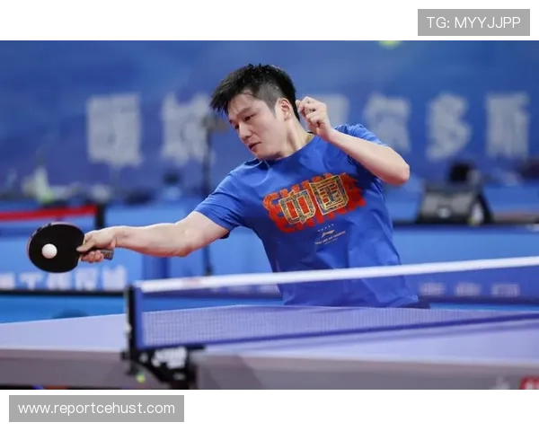 樊振东连续征战德甲赛场精彩对决两场全程回顾