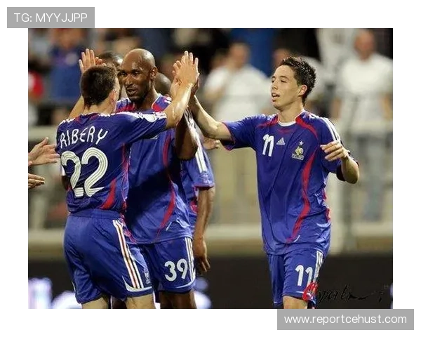 深入解析法国足球甲级联赛DS的发展历程与球队竞技实力对比分析 深入解析法国足球甲级联赛DS的发展历程与球队竞技实力对比分析