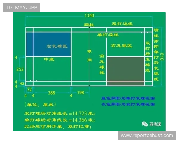 羽毛球比赛中故意不接出界球的战术心理与规则探讨 羽毛球比赛中故意不接出界球的战术心理与规则探讨